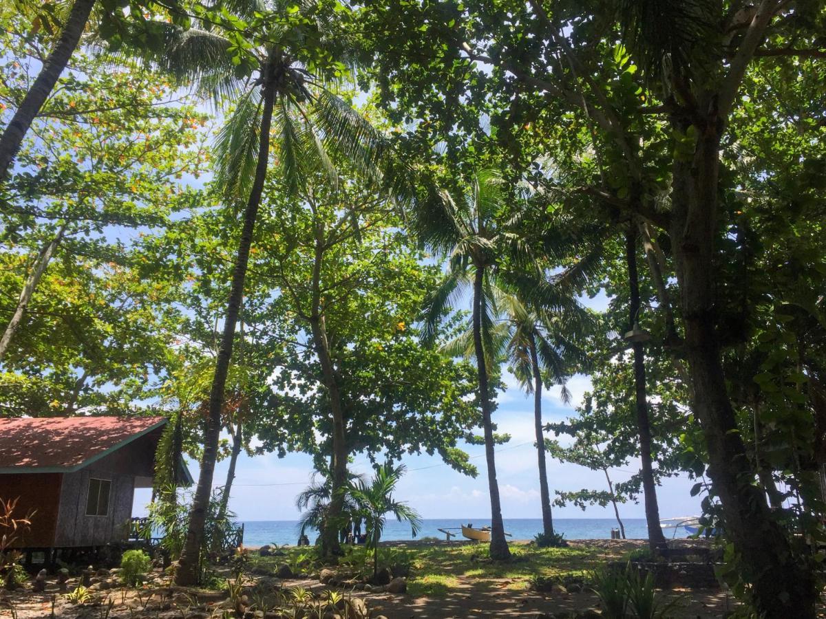 Beach House Resort And Dive Center Mambajao Eksteriør billede